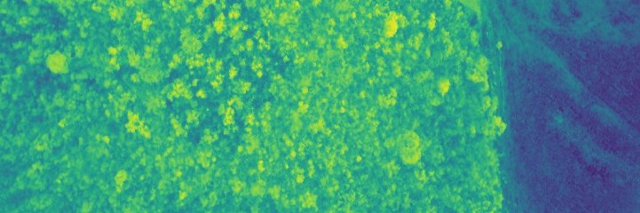 Eduardo Q Marques 🇺🇳 banner