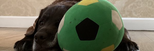 DnLead Profile Banner