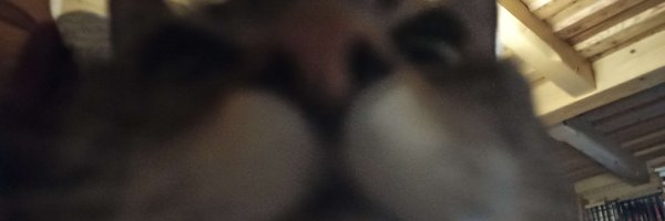 Qosada_ Profile Banner