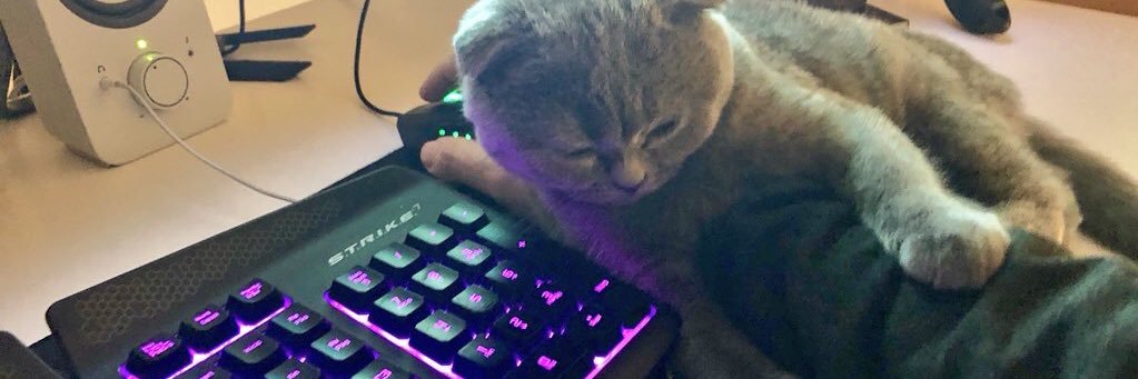 melslay's profile banner image