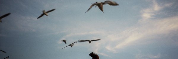 BarbinArianna Profile Banner