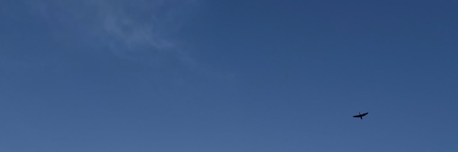 MG banner