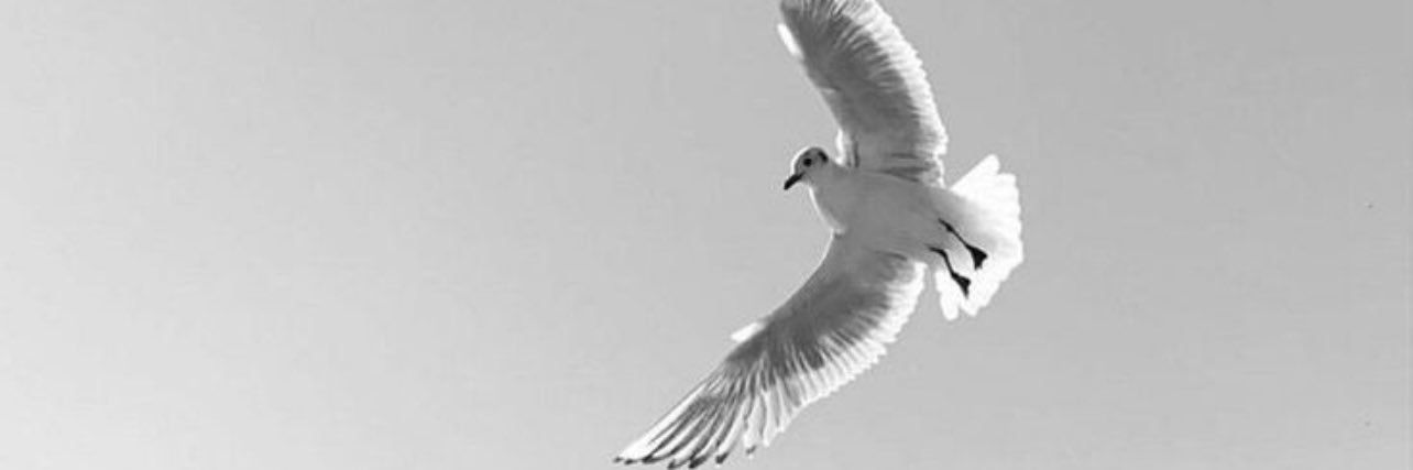 alreeem0660's profile banner image