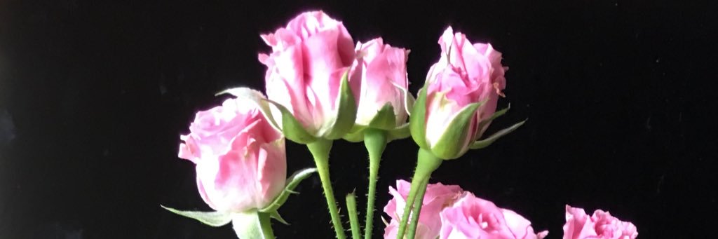 dreamy333's profile banner image