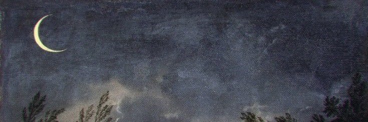 luz 🐙🇦🇷 banner