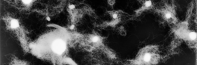 LaxCoachKallio's profile banner image
