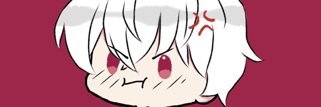Mr Misa banner