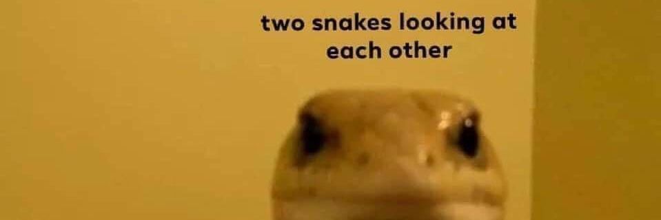 _onaj_'s profile banner image