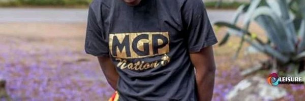 kingzebra263 Profile Banner