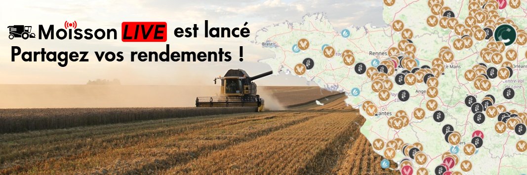 Moisson Live banner