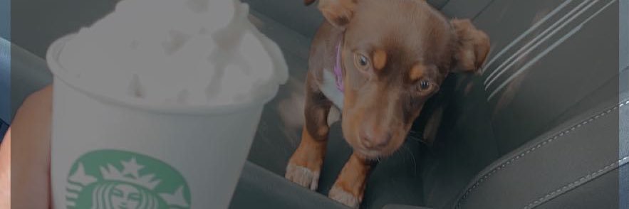 tyesha_p's profile banner image