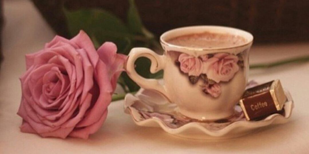 nsreen6654's profile banner image