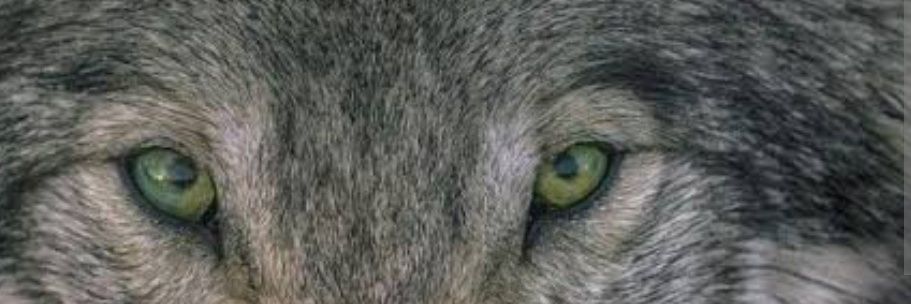 Snmzfth1's profile banner image