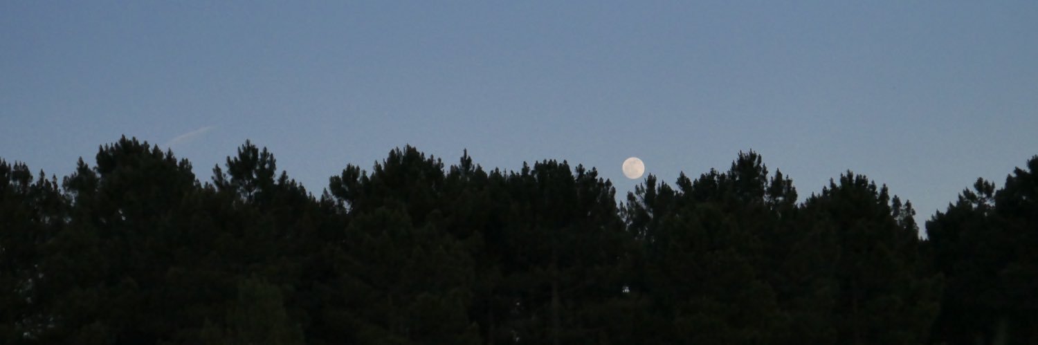 Carløs banner