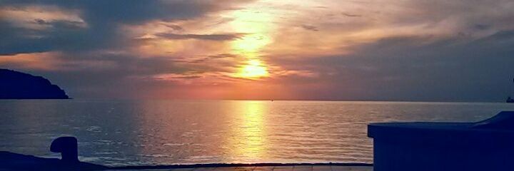 lmmardel's profile banner image
