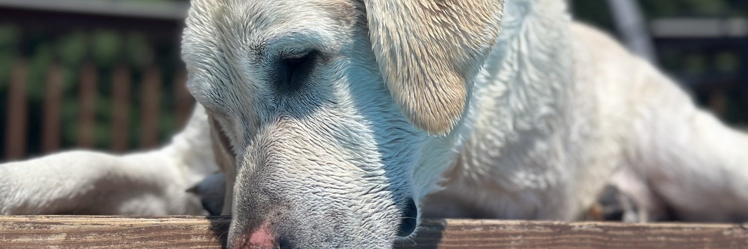 JamesEdgeman's profile banner image