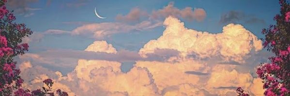 Sunshine_5SOS's profile banner image