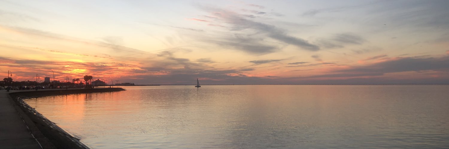 NaturalDreamer1's profile banner image