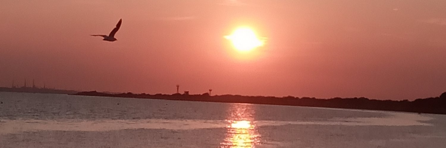 tanoywithin's profile banner image