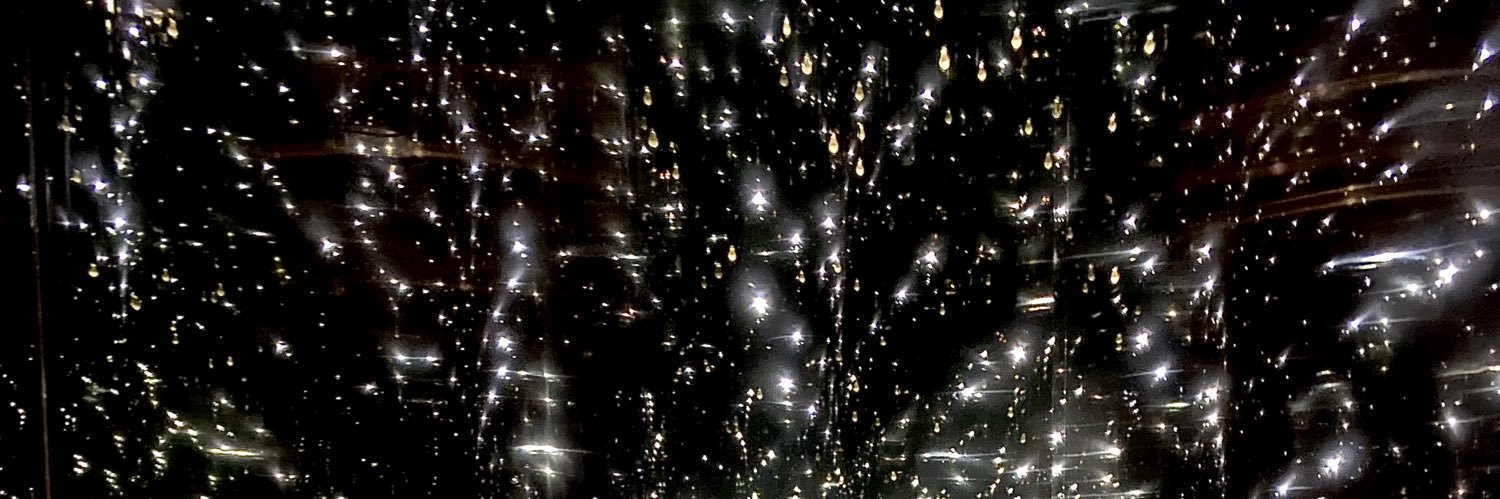 spicylifeofluca_ banner