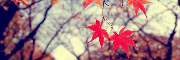 SlackingDragon Profile Banner