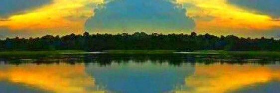 paulopelee's profile banner image