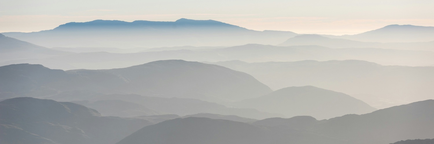 Tomi Tokko's banner