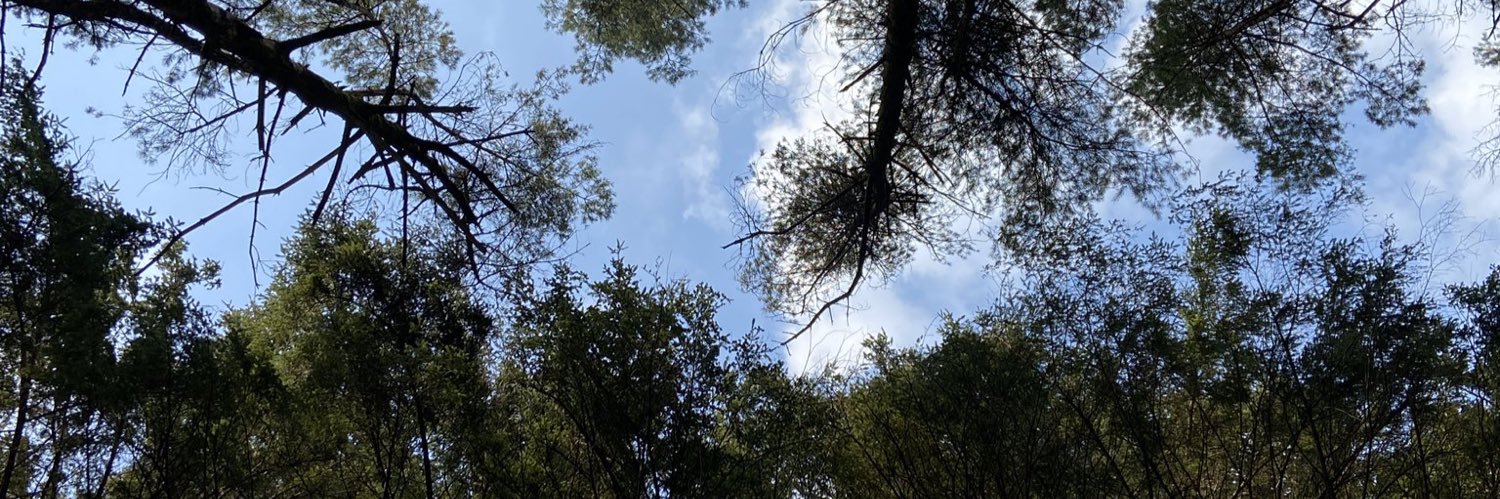 YTJRODGAMING's profile banner image
