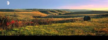 Cotton Cofelt banner