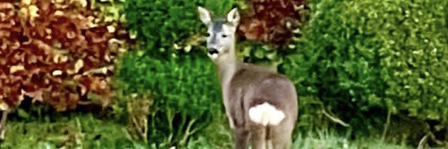 BrouageDe's profile banner image