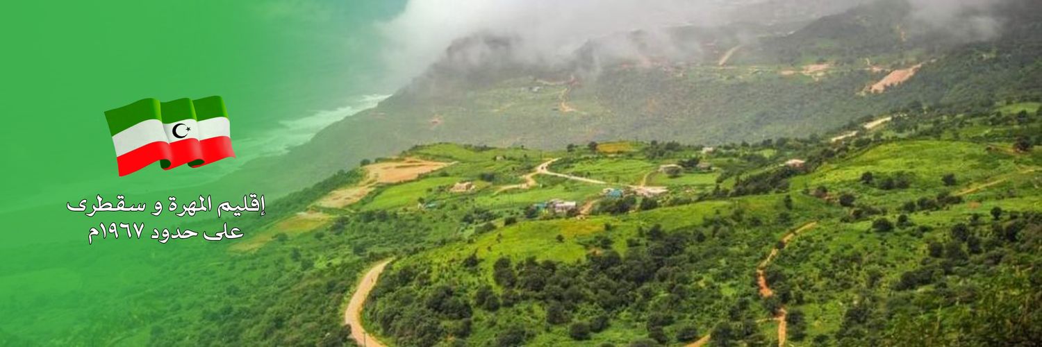 AL_L7EFE's profile banner image