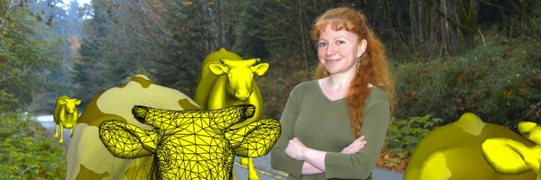 AllaSheffer Profile Banner