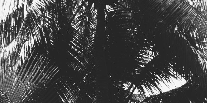 rinelauloco's profile banner image