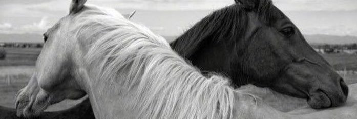 muneddr's profile banner image