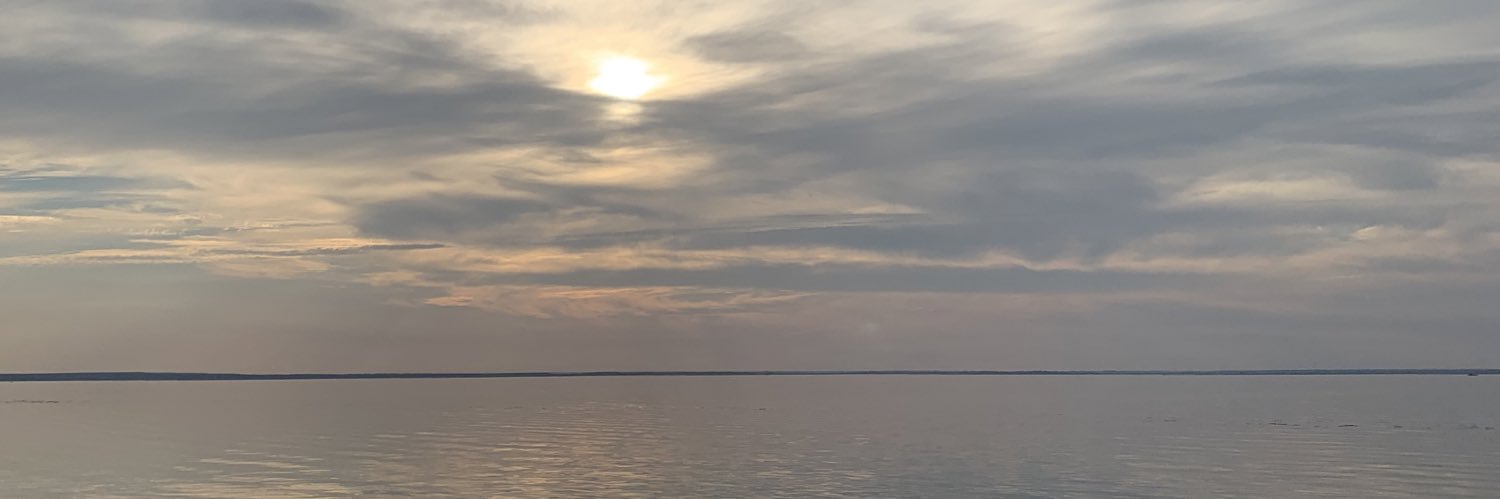 rinaevans_'s profile banner image