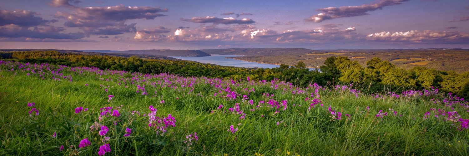 Keuka Lake Wine Trail banner