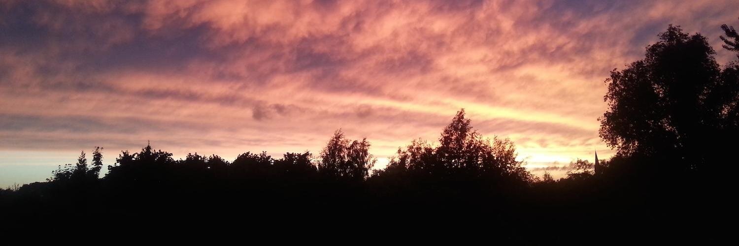 Uwe Friedrichsen banner