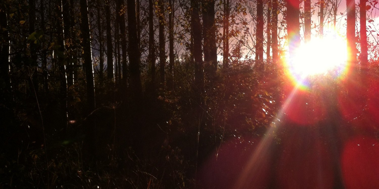 _ebean's profile banner image