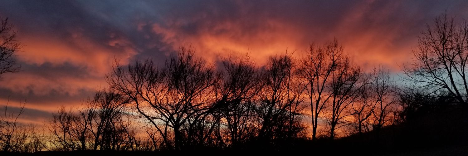 laurakoch__'s profile banner image