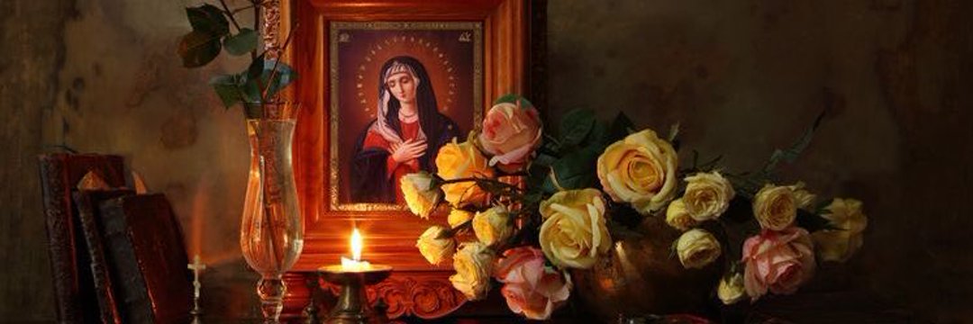 maralejarg's profile banner image