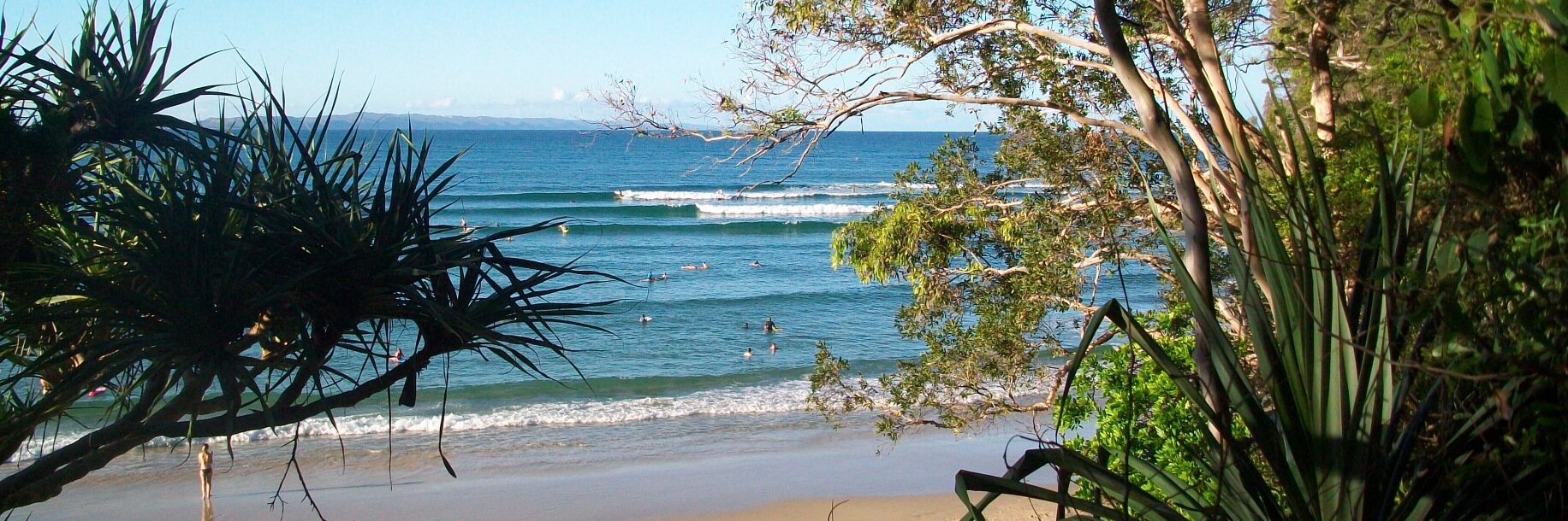 joanna parsonage banner