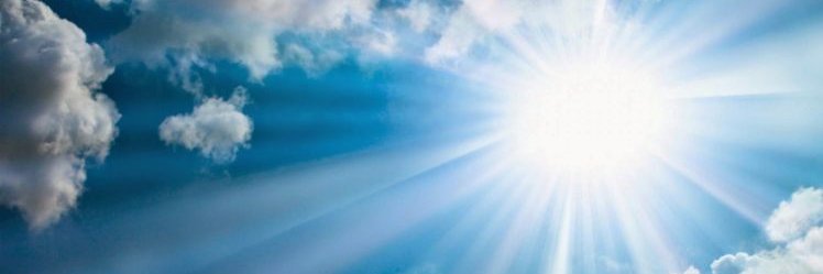 Walkyrius 🐇🌲🌺☀️☄️🐝🐬🦆🐤 banner