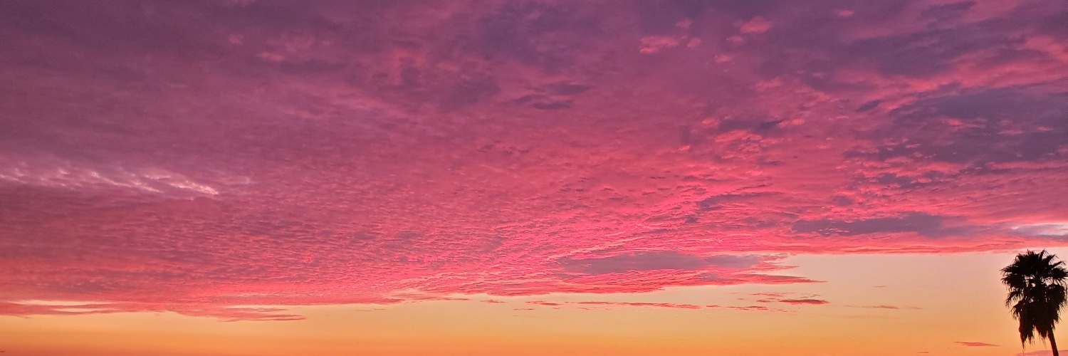 ddoveabove's profile banner image