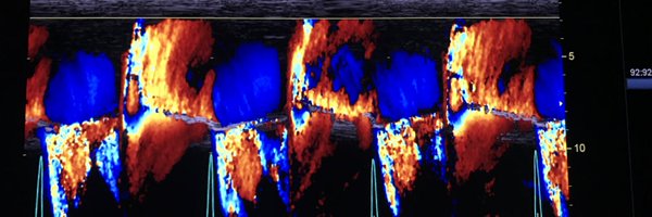papadocardio Profile Banner