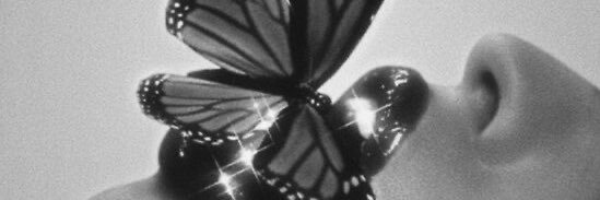 sadieeewitt's profile banner image