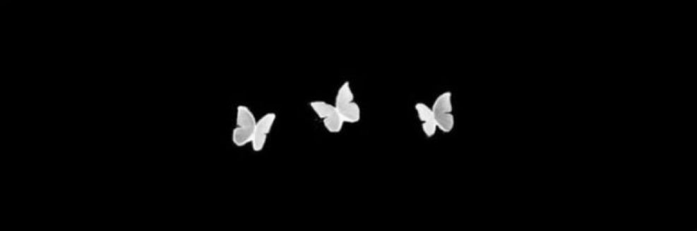 ri891i's profile banner image