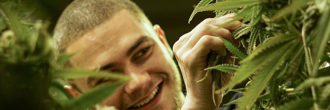 Jweed420 banner