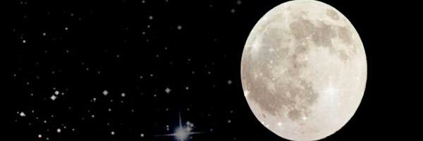 sarab1427's profile banner image