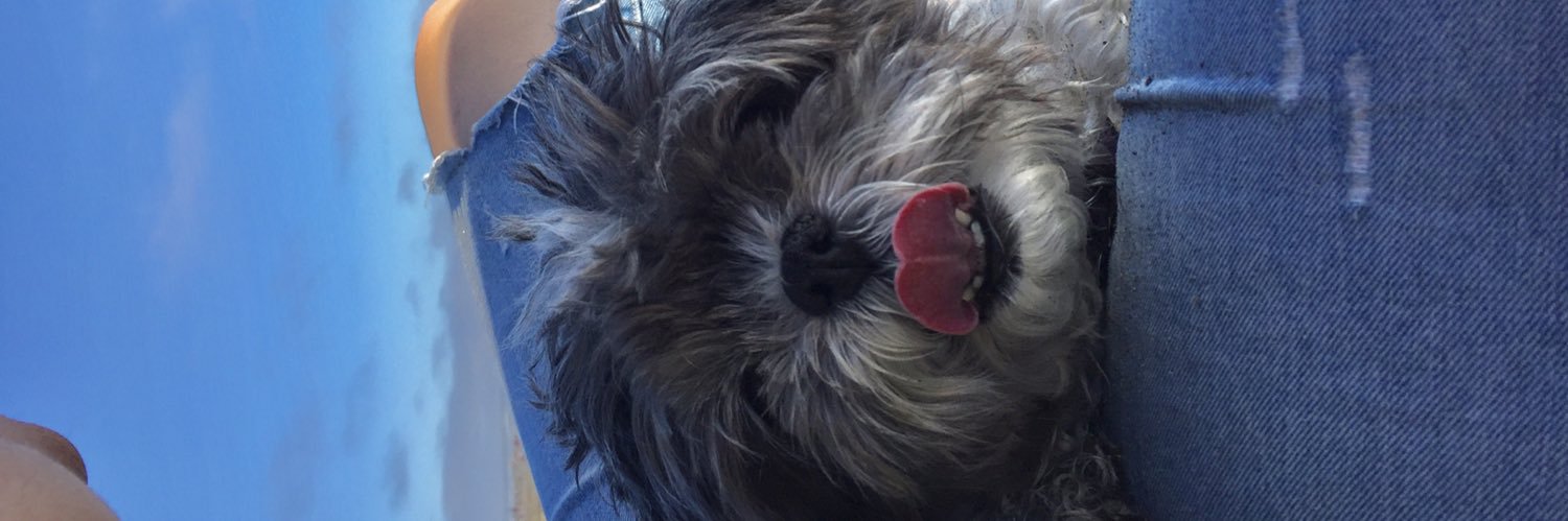 karleeezy_'s profile banner image