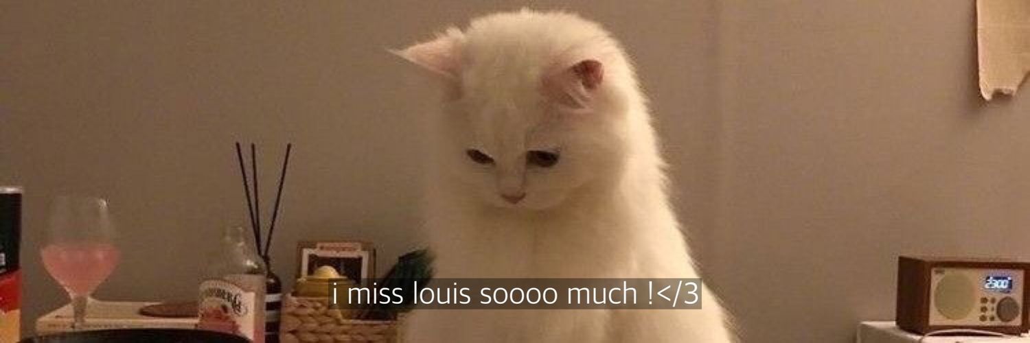 libbystairs's profile banner image